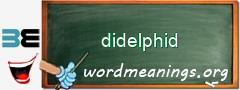 WordMeaning blackboard for didelphid